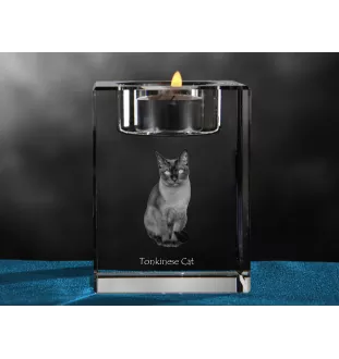 Tonkinese Cat - Candle holder with cat photo, crystal tealight holder, personalised gift by Art-Dog brand