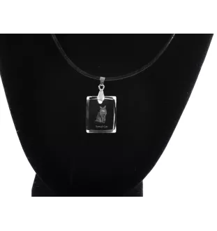 Somali Cat - Crystal cat pendant, photo necklace, unique jewellery by Art-Dog