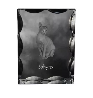 Sphynx - cristal avec une photo de chat, une statuette en verre avec une photo, un cadre exceptionnel avec une photo de la marque Art-Dog