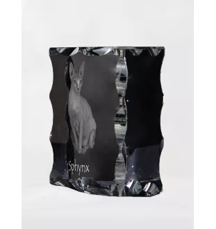 Sphynx - cristal avec une photo de chat, une statuette en verre avec une photo, un cadre exceptionnel avec une photo de la marque Art-Dog