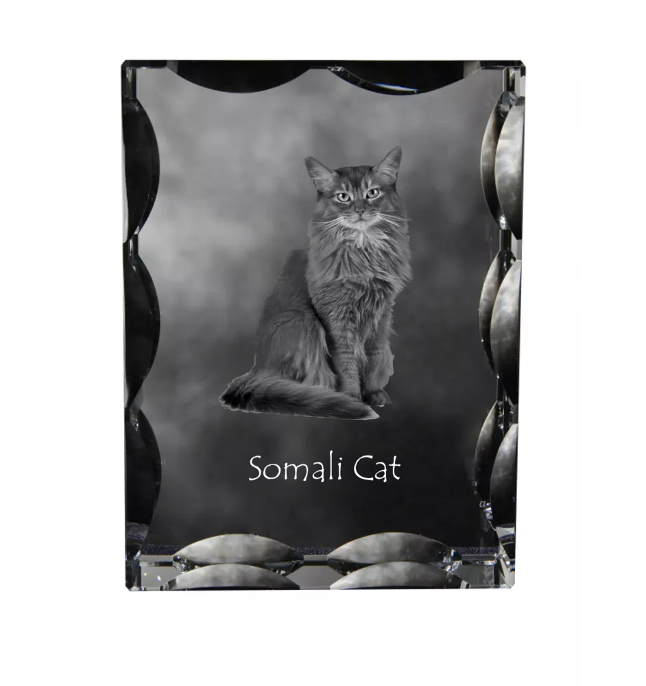 Somali Cat - crystal with a cat picture, glass statuette with a picture, unique frame with a picture from Art-Dog brand