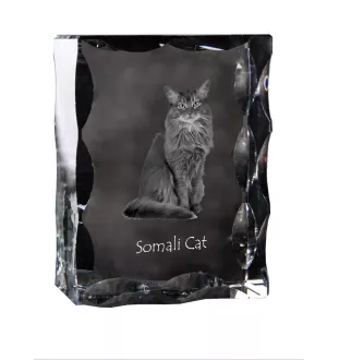 Chat Somali - cristal avec une photo de chat, une statuette en verre avec une photo, un cadre exceptionnel avec une photo de la marque Art-Dog