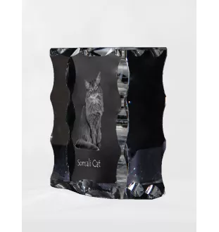 Chat Somali - cristal avec une photo de chat, une statuette en verre avec une photo, un cadre exceptionnel avec une photo de la marque Art-Dog