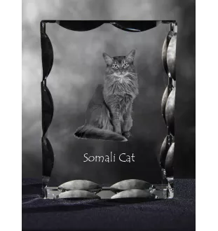 Somali Cat - crystal with a cat picture, glass statuette with a picture, unique frame with a picture from Art-Dog brand
