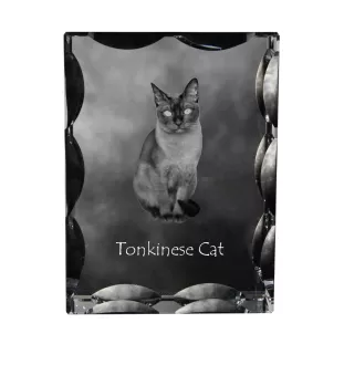 Tonkinese Cat - crystal with a cat picture, glass statuette with a picture, unique frame with a picture from Art-Dog brand