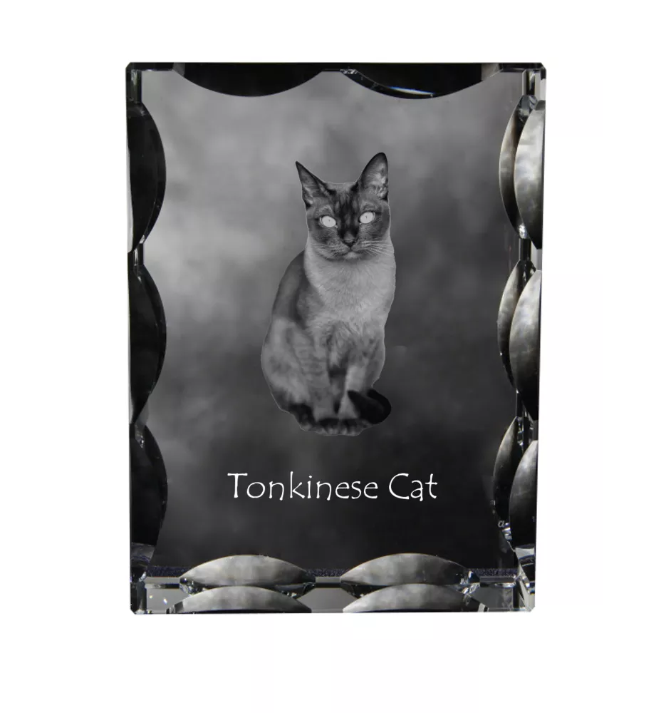 Tonkinese Cat - crystal with a cat picture, glass statuette with a picture, unique frame with a picture from Art-Dog brand