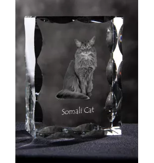 Somali Cat - crystal with a cat picture, glass statuette with a picture, unique frame with a picture from Art-Dog brand
