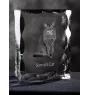 Somali Cat - crystal with a cat picture, glass statuette with a picture, unique frame with a picture from Art-Dog brand