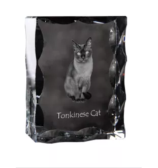 Chat tonkinois - cristal avec une photo de chat, une statuette en verre avec une photo, un cadre exceptionnel avec une photo de la marque Art-Dog