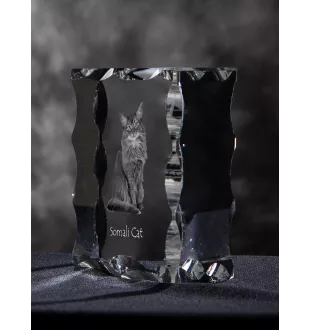 Somali Cat - crystal with a cat picture, glass statuette with a picture, unique frame with a picture from Art-Dog brand