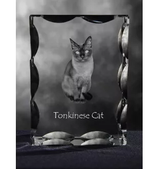 Tonkinese Katze - Kristall mit Katzenbild, Glasstatuette mit Bild, einzigartiger Bilderrahmen der Marke Art-Dog