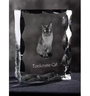 Chat tonkinois - cristal avec une photo de chat, une statuette en verre avec une photo, un cadre exceptionnel avec une photo de la marque Art-Dog