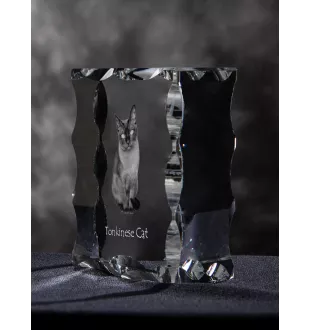 Tonkinese Cat - crystal with a cat picture, glass statuette with a picture, unique frame with a picture from Art-Dog brand