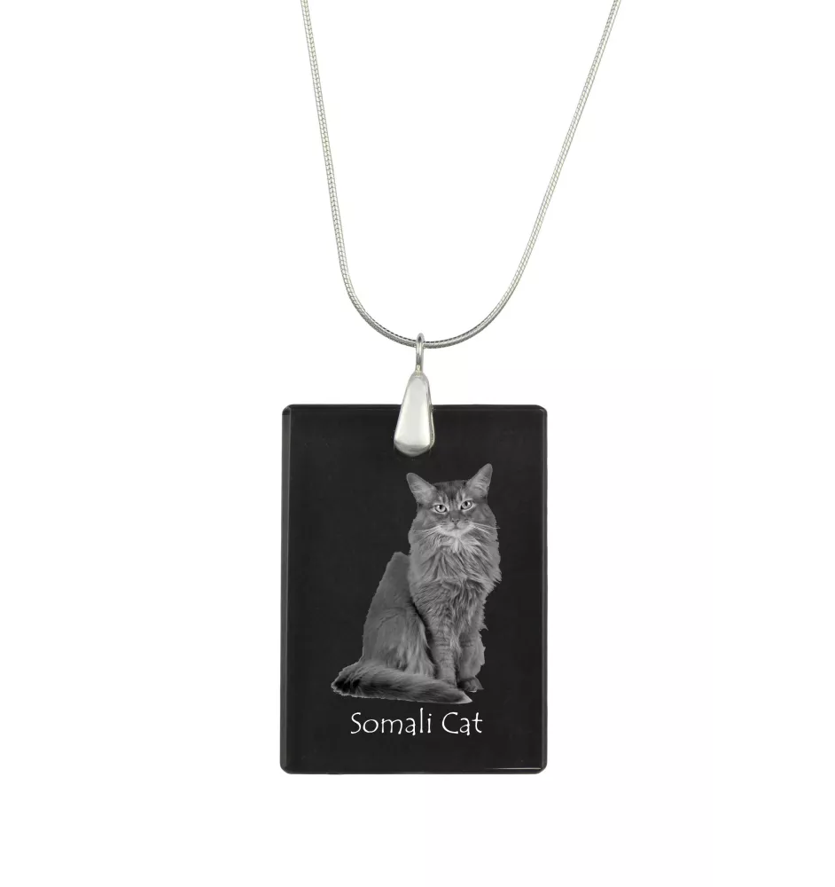 Chat Somali - Crystal pendant with cat, silver necklace with photo, personalised pendant by Art-Dog brand