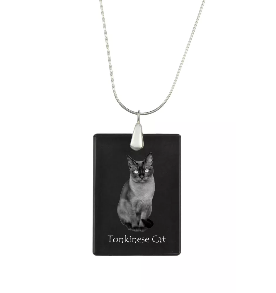 Tonkinese Cat - Crystal pendant with cat, silver necklace with photo, personalised pendant by Art-Dog brand
