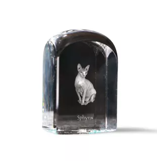 Sphynx - crystal cube with a photo, photo of a cat in crystal, cubic paperweight from Art-Dog brand