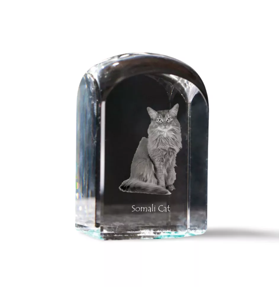 Chat Somali - un cube en cristal avec une photo, une photo de chat dans le cristal, un presse-papiers cubique de la marque Art-Dog