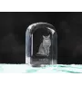 Chat Somali - un cube en cristal avec une photo, une photo de chat dans le cristal, un presse-papiers cubique de la marque Art-Dog