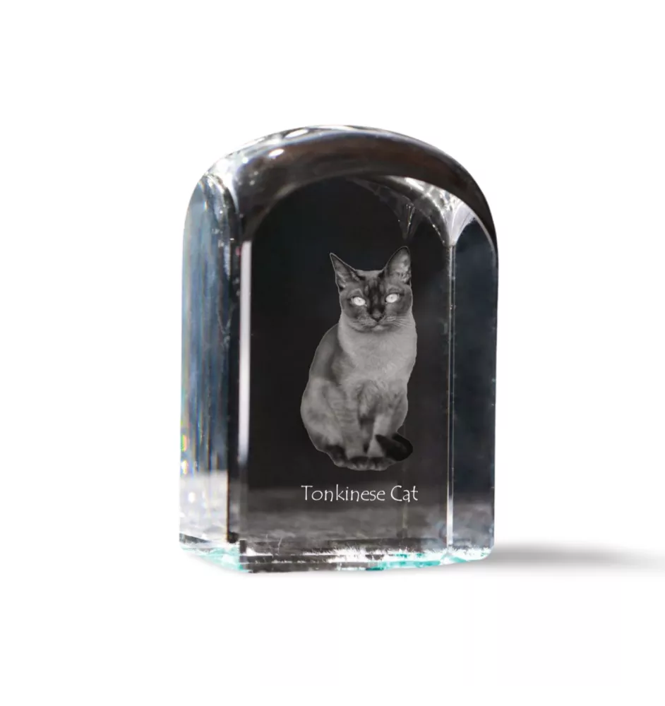 Tonkinese Cat - crystal cube with a photo, photo of a cat in crystal, cubic paperweight from Art-Dog brand