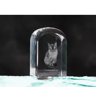 Chat tonkinois - un cube en cristal avec une photo, une photo de chat dans le cristal, un presse-papiers cubique de la marque Art-Dog