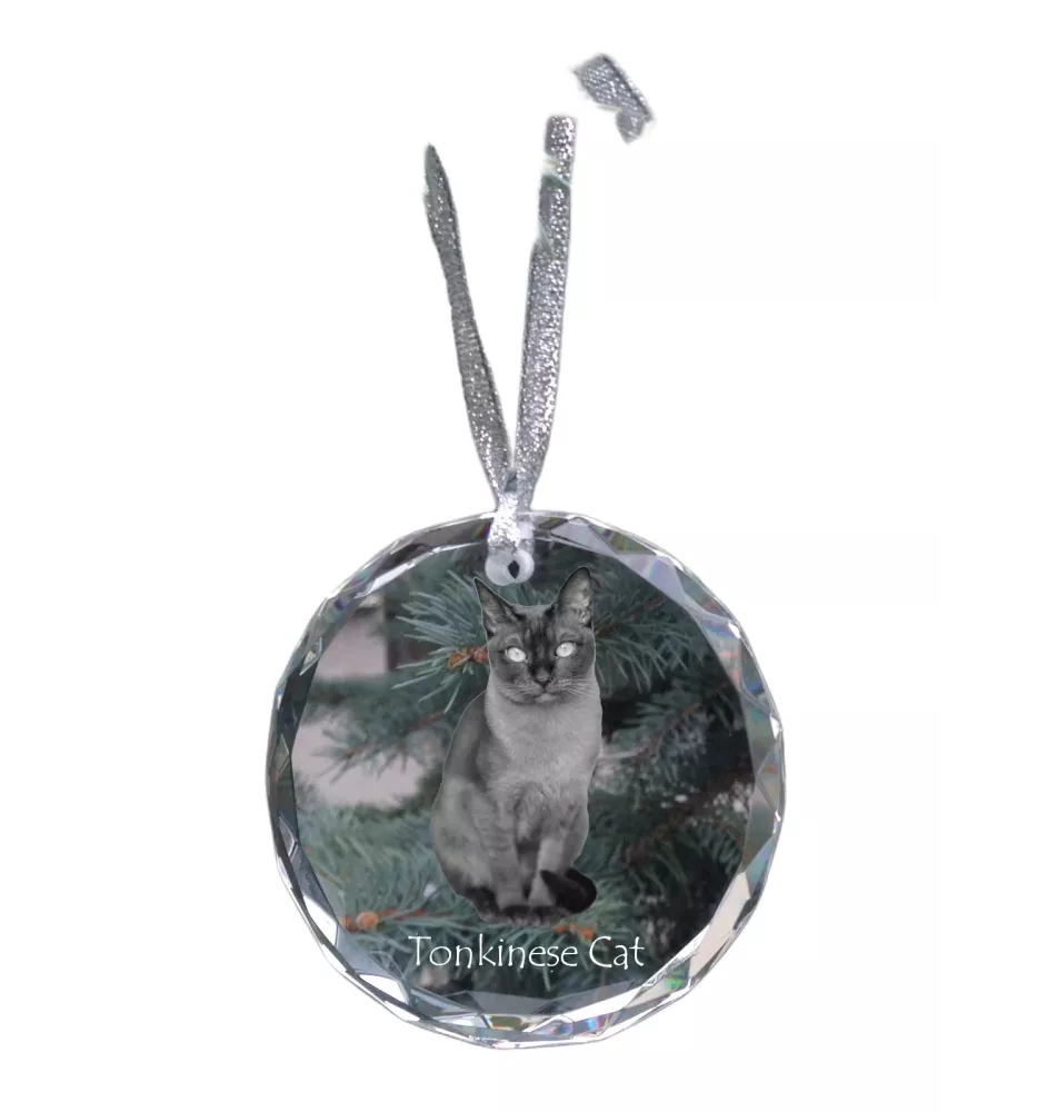 Chat tonkinois - boule de Noël en cristal avec une photo, photo d'un chat dans le cristal, décoration personnalisée pour sapin de Noël de la marque Art-Dog
