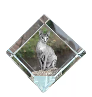 Sphynx - crystal cube with a picture of a cat, crystal with a picture of a horse, cubic paperweight by Art-Dog brand