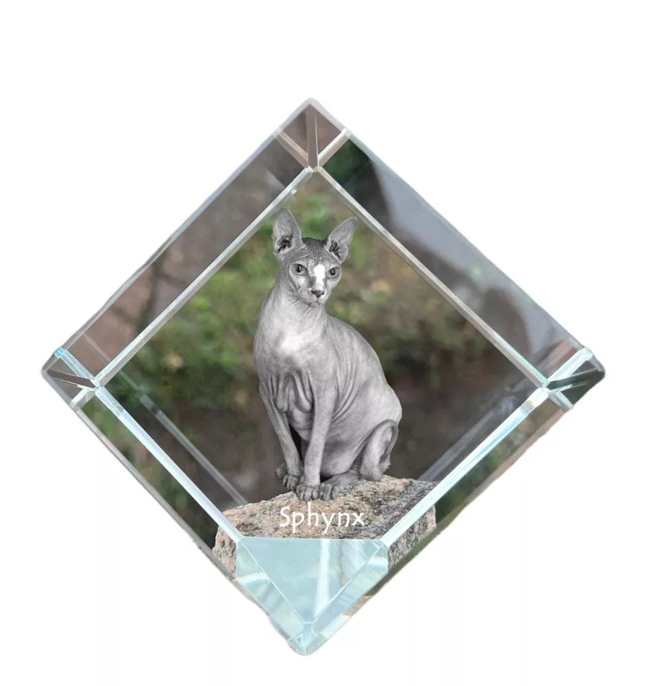 Sphynx - un cube en cristal avec une photo de chat, une photo de cheval dans le cristal, un presse-papiers cubique de la marque Art-Dog