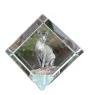 Sphynx - crystal cube with a picture of a cat, crystal with a picture of a horse, cubic paperweight by Art-Dog brand