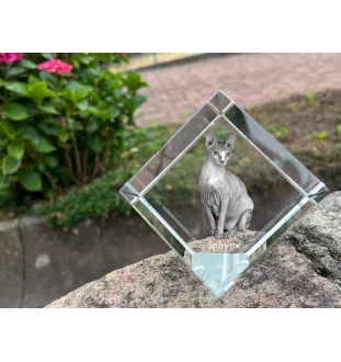Sphynx - un cube en cristal avec une photo de chat, une photo de cheval dans le cristal, un presse-papiers cubique de la marque Art-Dog