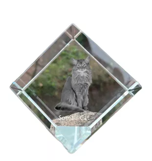 Somali-Katze - Kristallwürfel mit Katzenbild, Pferdebild im Kristall, sechseckiger Papierclip von der Marke Art-Dog