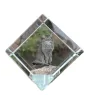 Somali-Katze - Kristallwürfel mit Katzenbild, Pferdebild im Kristall, sechseckiger Papierclip von der Marke Art-Dog
