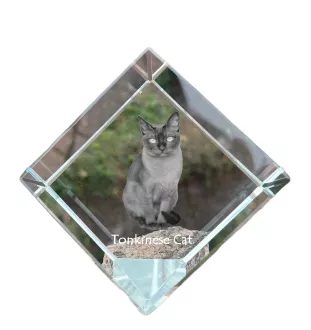 Chat tonkinois - un cube en cristal avec une photo de chat, une photo de cheval dans le cristal, un presse-papiers cubique de la marque Art-Dog