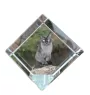 Tonkinese Cat - crystal cube with a picture of a cat, crystal with a picture of a horse, cubic paperweight by Art-Dog brand