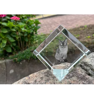 Tonkinese Katze - Kristallwürfel mit Katzenbild, Pferdebild im Kristall, sechseckiger Papierclip von der Marke Art-Dog