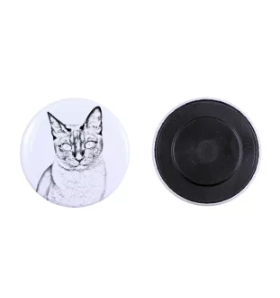 Tonkinese Katze - Sammlung von einzigartigen Magneten, eigenes Foto, Marke Art-Dog