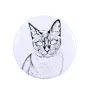Tonkinese Cat - collection of unique magnets, own photo, Art-Dog brand