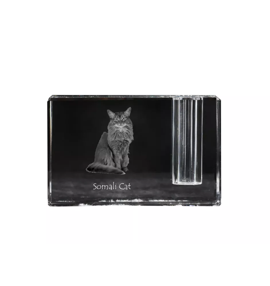 Chat Somali - Porte-stylos, organiseur en cristal avec photo de chat, décoration de bureau unique par la marque Art-Dog