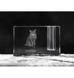 Somali Cat - Pen stand, crystal organiser with cat photo, unique desk decoration by Art-Dog brand