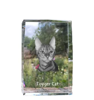 Chat Toyger - cristal avec une photo de chat, photo sous verre, exposition moderne de la marque de photos Art-Dog