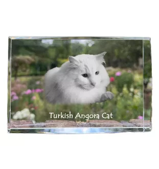 Türkisch Angorakatze - Kristall mit einem Katzenbild, Bild im Glas, moderne Ausstellung des Art-Dog-Fotos.