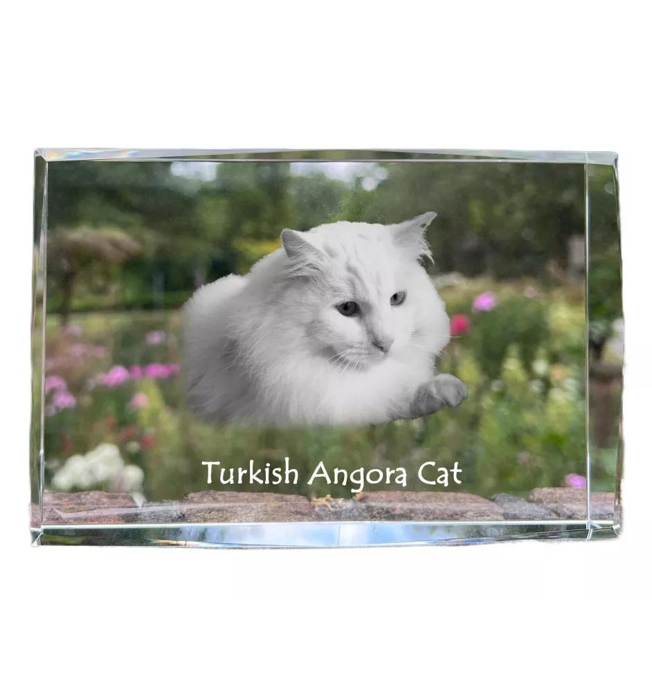 Turecka angora kryształ z kotem Art-Dog