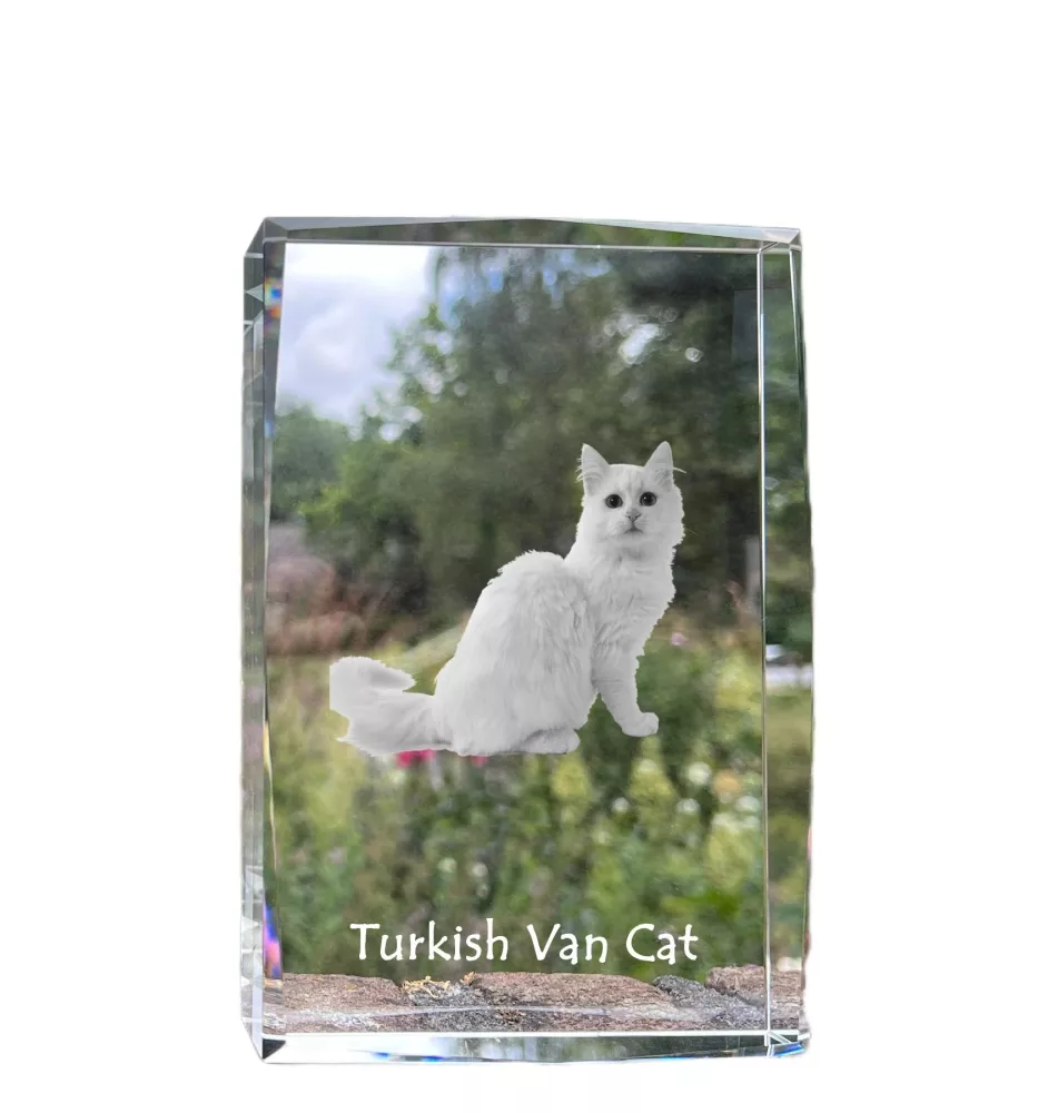 Chat turc de Van - cristal avec une photo de chat, photo sous verre, exposition moderne de la marque de photos Art-Dog