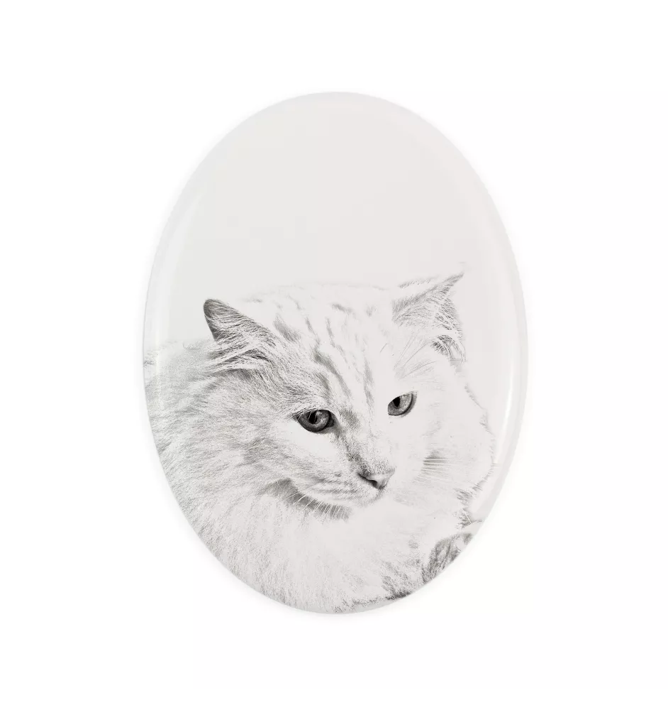 Chat Angora Turc - une plaque commémorative avec une photo de chat, une plaque funéraire avec une impression, une plaque ovale personnalisée de la marque Art-Dog