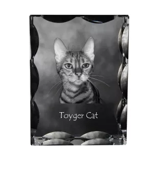 Toyger Cat - crystal with a cat picture, glass statuette with a picture, unique frame with a picture from Art-Dog brand