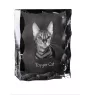 Toyger Katze - Kristall mit Katzenbild, Glasstatuette mit Bild, einzigartiger Bilderrahmen der Marke Art-Dog