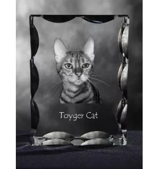 Toyger Katze - Kristall mit Katzenbild, Glasstatuette mit Bild, einzigartiger Bilderrahmen der Marke Art-Dog