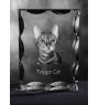 Toyger Katze - Kristall mit Katzenbild, Glasstatuette mit Bild, einzigartiger Bilderrahmen der Marke Art-Dog