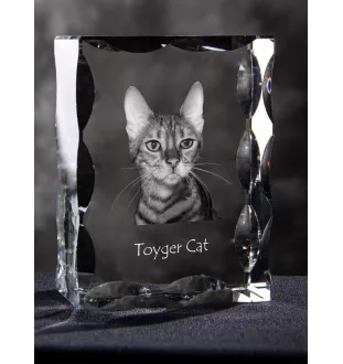 Toyger Cat - crystal with a cat picture, glass statuette with a picture, unique frame with a picture from Art-Dog brand