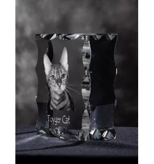 Toyger Katze - Kristall mit Katzenbild, Glasstatuette mit Bild, einzigartiger Bilderrahmen der Marke Art-Dog