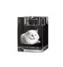 Angora turc - Bougeoir avec photo de chat, porte bougie en cristal, cadeau personnalisé par la marque Art-Dog